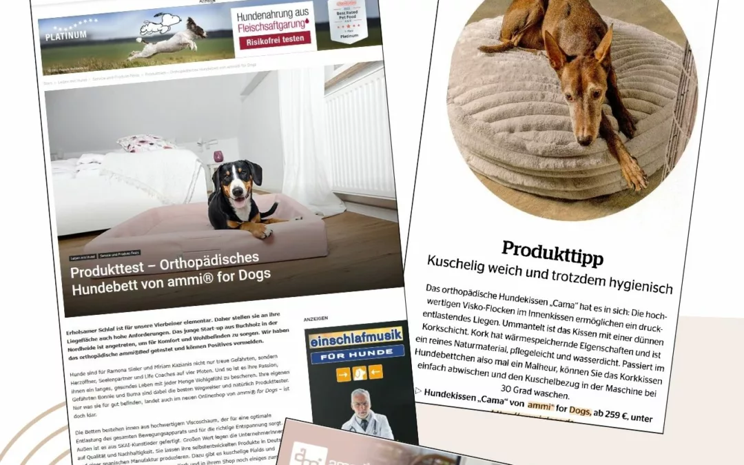 Doglovers aufgepasst! ammi® for Dogs und die Bedeutung von Petfluencern